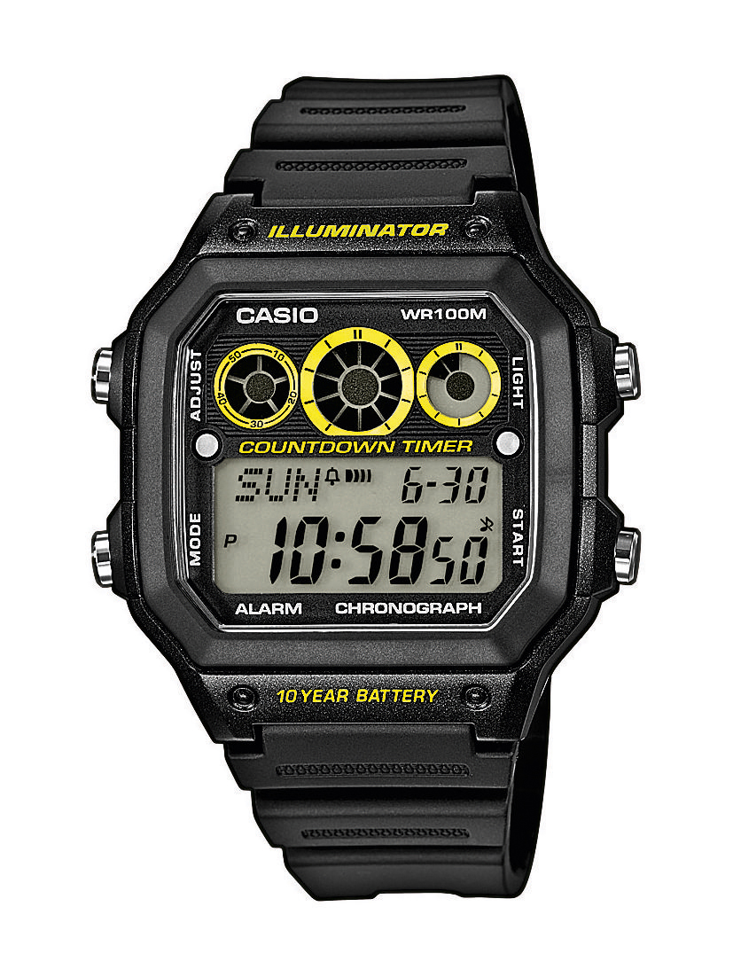 ae 1300 casio