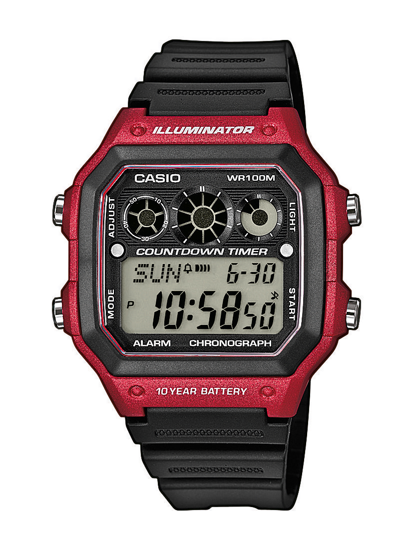 ae 1300 casio
