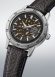 Style 60's Seiko (SSA461J1)