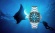 Save the Ocean (SRPE33K1)