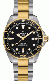 DS ACTION DIVER