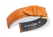 Camelgrain