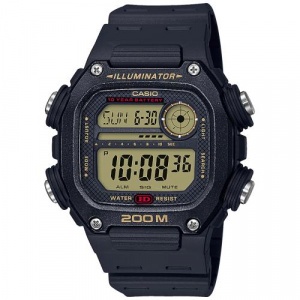 Collection DW-291 (DW-291H-9AVEF)