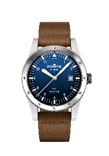 Flieger F-41 (F4220025)