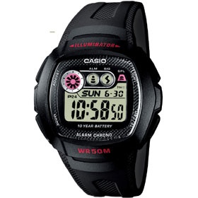 Digital W-210 (W-210-1CVES)