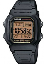 Digital W-800